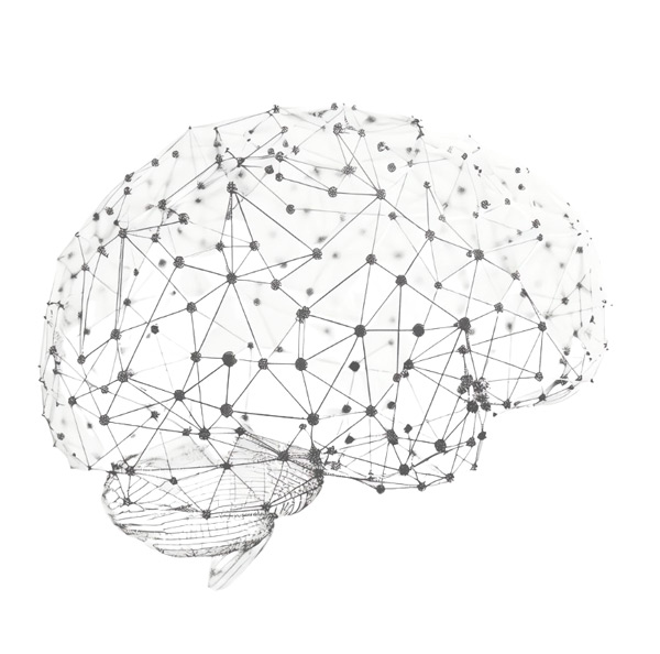 Brain Enhancement Program — Blast Longevity