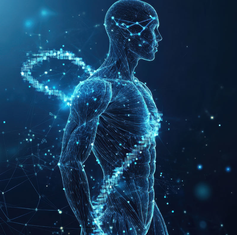 Metabolic foundational rewiring
