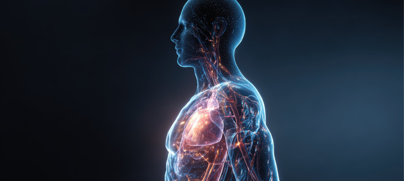 The science of comprehensive rejuvenation