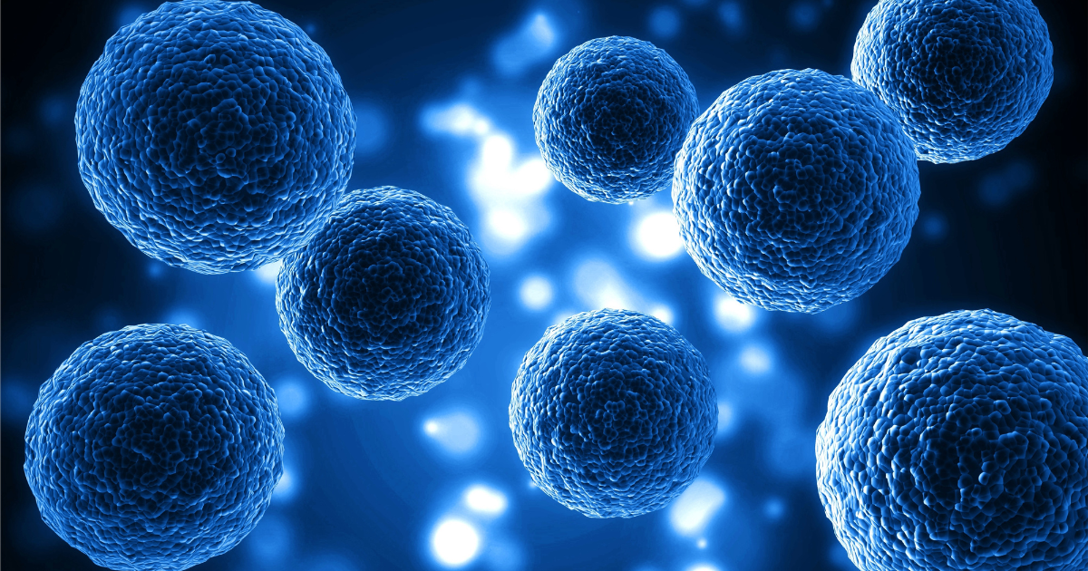 Pluripotent Exosomes — Reading the Cargo