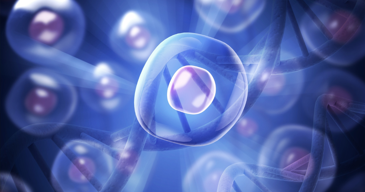 Stem Cell Senescence: The Aging Process Hiding Inside Your Own Repair System